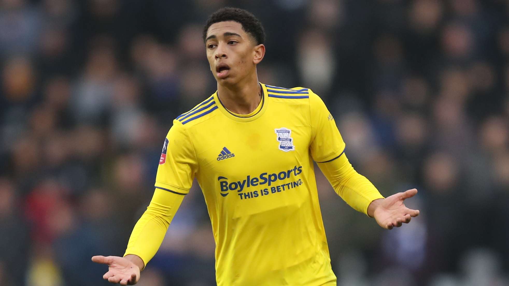 疑点燃了蓝 疑点燃了蓝